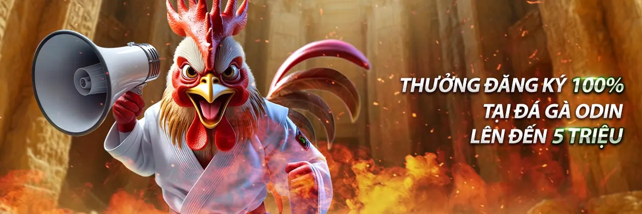 Hình ảnh đại diện cho việc tìm kiếm giải pháp và hy vọng khi cuộc sống khó khăn với đời tôi hạng bét